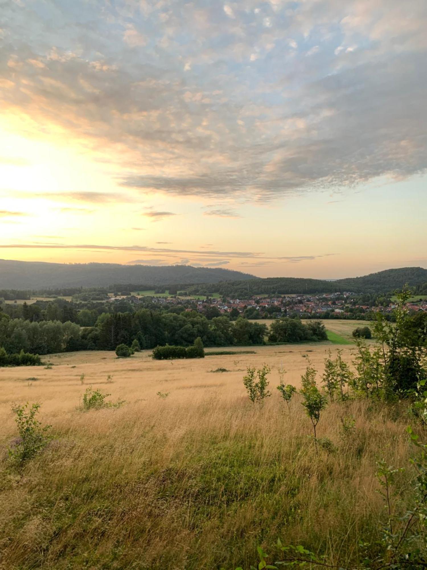 Wolfs-Blick Villa Langelsheim Exterior photo